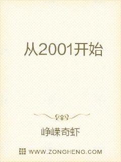 ��2001��ʼ