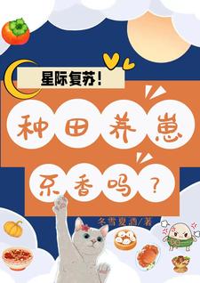 �Ǽʸ��գ��������̲�����������