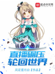 ֱ����ѹ�ֻ�����