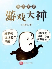 ���治����Ϸ����