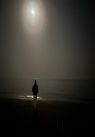 éɽ����¼