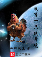 ����һֻս����