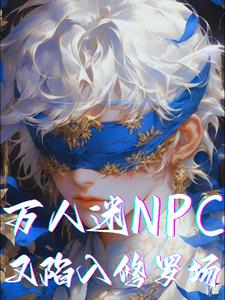 ������NPC���������޳�