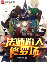 ��ʦ�������޳�