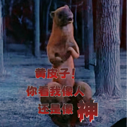 ��Ƥ���ַ⣬��Ƥ�Ӷ��±���