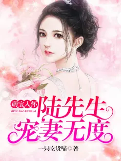 �ȱ��뻳��½���������޶�