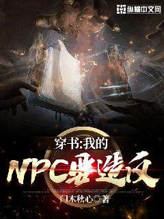 ���飺�ҵ�NPCҪ�췴