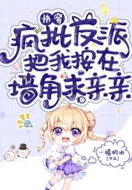 �촩���������ɰ��Ұ���ǽ��������