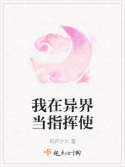 ������統ָ��ʹ