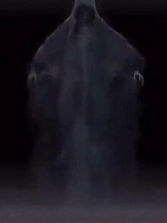 �Ҿ�һС����