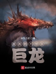 ����Ĳ��뵱����