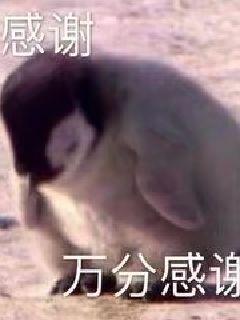 �۰�ĩ���Ӷ�����ʼ
