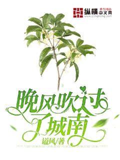 ���紵���˳���