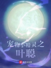 ����С����֮Ҷ��